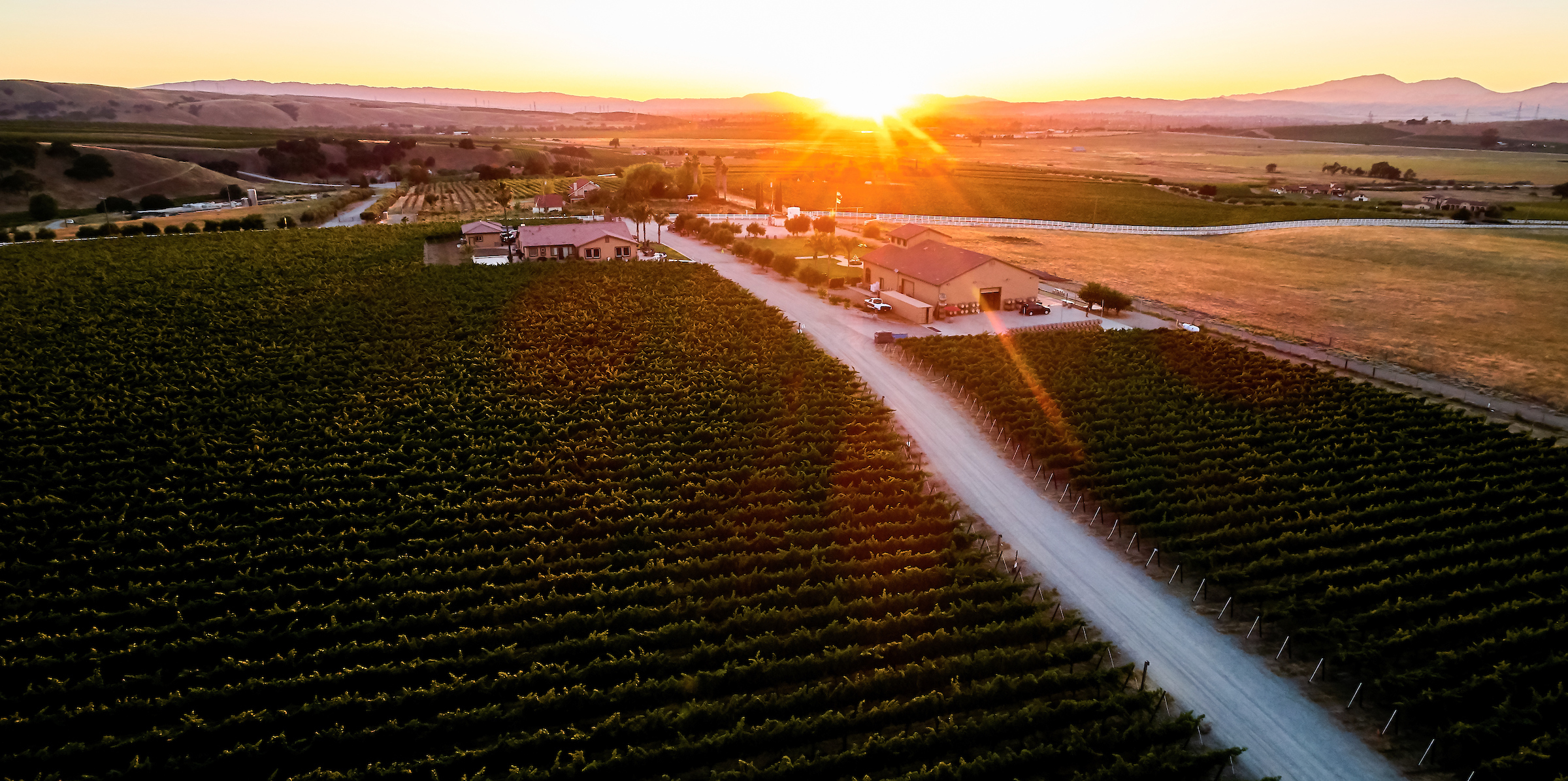 Wine Tasting Near Modesto CA 